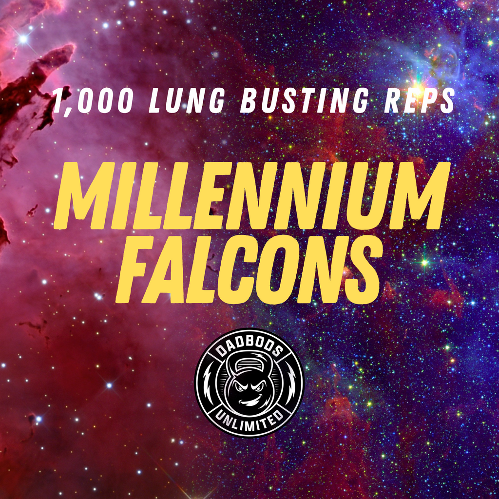 MILLENNIUM FALCONS